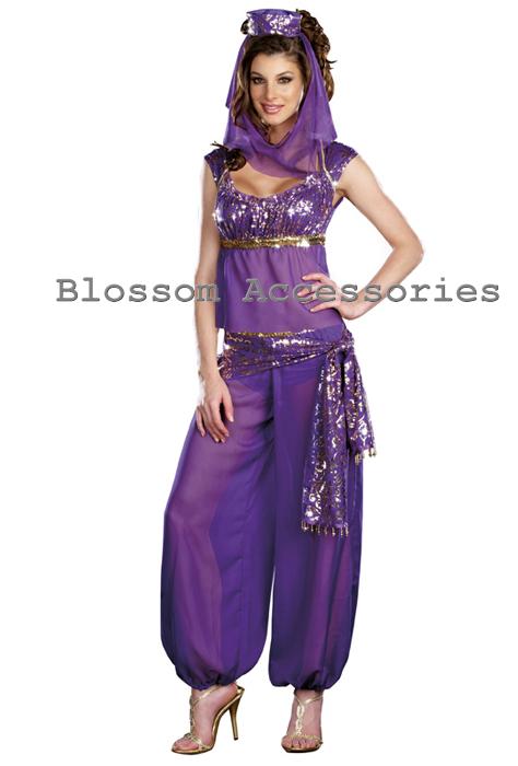 E20 Arabian Genie Aladdin Fancy Dress Up Costume Ladies Ebay